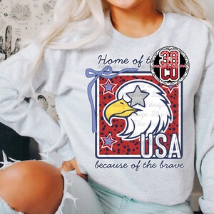 Orzeł png, USA png, wolność png, odważny png, Dzień Niepodległości, modna kokarda png, kokietka USA, 4 lipca png, patriotyczny, gwiezdne oczy png zdjęcie 11