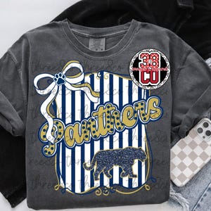 Puede incluir: Camiseta de manga larga gris oscuro con un dise&ntilde;o gr&aacute;fico. El dise&ntilde;o presenta la palabra "Panthers" en dorado y azul, una silueta de pantera y un lazo con una huella de pata. Tambi&eacute;n hay un logotipo circular con el n&uacute;mero 38.