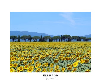 Landscape digital print, nature poster with flowers, countryside landscape poster for living room wall decoration