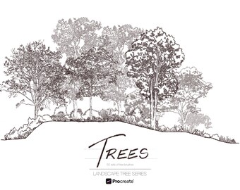 50 Trees Drawing Stamp Brush Set for Procreate Volume 2 : Landscape ...