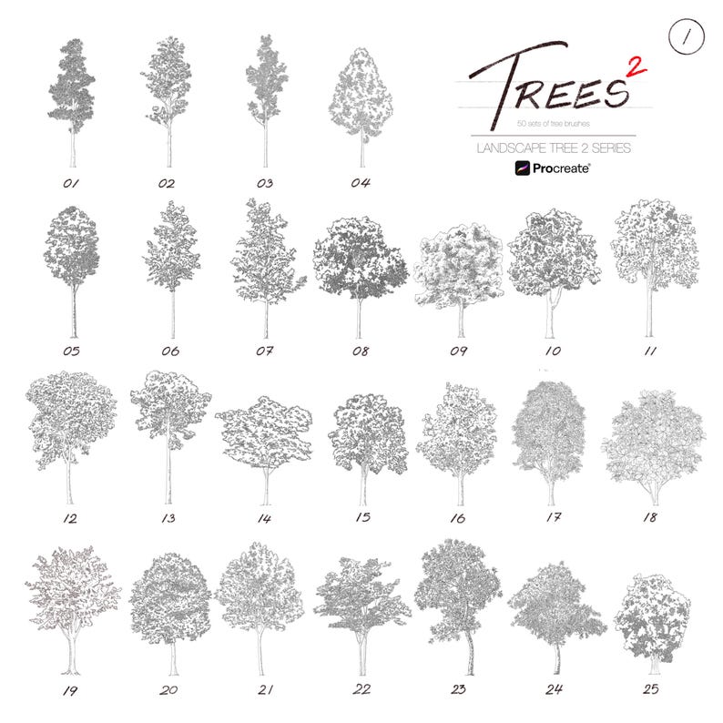 50 Trees Drawing Stamp Brush Set for Procreate Volume 2 : Landscape ...