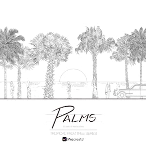 50 Palms Drawing Stamp Brush Set for Procreate : Tropical Tree Series