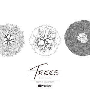Könnte beinhalten: Drei Schwarzweißillustrationen von Bäumen aus der Vogelperspektive. Die Illustrationen sind Teil eines Sets mit 50 Baum-Plan-Pinseln für Procreate.