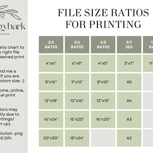 May include: A chart showing different file size ratios for printing, with measurements in inches. The chart includes 2:3, 3:4, 4:5, 5:7 (ISO), and 11:14 ratios. The chart also includes standard paper sizes like A5, A4, A3, and A2.