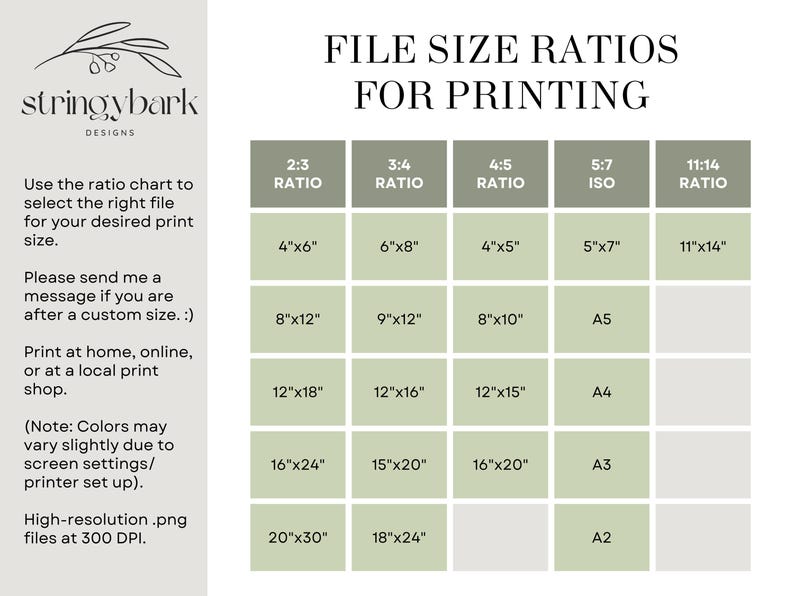 May include: A chart showing different file size ratios for printing, with measurements in inches. The chart includes 2:3, 3:4, 4:5, 5:7 (ISO), and 11:14 ratios. The chart also includes standard paper sizes like A5, A4, A3, and A2.