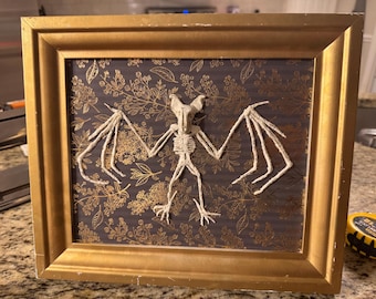Bat Skeleton Art | Handmade Clay Bat Skeleton Framed Art | Gothic Wall Decor | Anatomical Bat | Dark Academia | Oddities & Curiosities