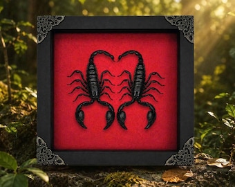 Real Scorpion Shadow Box, Gothic Heart Display, Dark Academia Curio Art