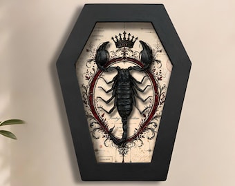 Real Preserved Scorpion in Coffin Frame, Gothic Oddities Display, Dark Academia Decor