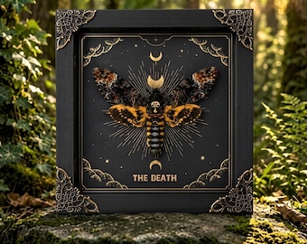 Death's Head Moth Shadow Box, Witchy Moon Phase Moth Taxidermy, Gothic Entomology Display, Mystical Home Decor, Oddities Curiosities Art