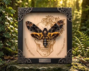 Death's Head Moth Frame, Engraved Skull Moth Art, Gothic Entomology Art, Laser Engraved Wood Decor, Oddities Gift