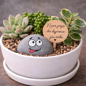 May include: A white ceramic planter filled with succulents, small pebbles, and a painted rock with a cartoon face. A wooden sign reads "Never forget the difference you make."