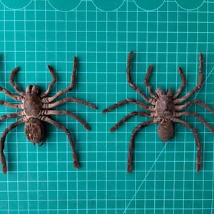 May include: Two brown spider figurines with eight legs each and textured bodies. The spiders are positioned side by side, displaying detailed segments on their legs and rounded abdomens, capturing a realistic appearance of arachnids.