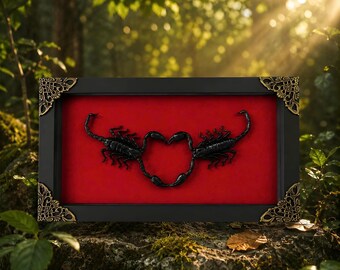 Gothic Heart Scorpion Art, Real Insect Wall Decor, Dark Academia Curio Display, Oddities Art, Oddity Anniversary Wedding Gift