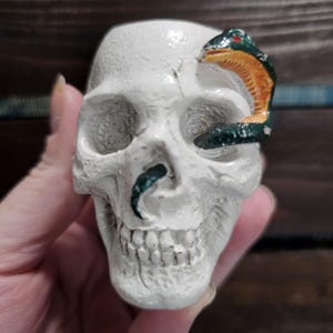 May include: A white skull figurine with a green and orange snake wrapped around it. The skull has detailed features, including teeth and eye sockets. The snake has a detailed design with a red eye.