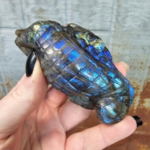 PRICE REDUCED! Labradorite Seahorse Carving