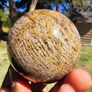 May include: A polished, spherical gemstone with a unique pattern of tan and gold striations. The orb is held in a hand, showcasing its smooth, reflective surface. The natural stone has a marbled appearance, with variations in color and texture.