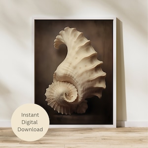 Antique Conch Shell Sea Life Wall Art, Sacred Geometry, Golden Ratio, vintage art print, printable wall art, instant download art