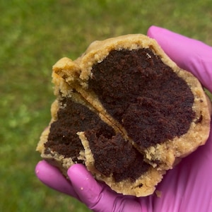 May include: A split cookie revealing a dark chocolate filling. The cookie's exterior is a light brown, contrasting with the rich, dark interior. The cookie is held by a hand wearing a pink glove, with a green grassy background.