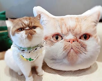 Custom Photo Pet Pillow, Custom Shaped Cat Dog Pillow,  Personalized Shaped Pillow Custom 3D Shape Pet Pillow Gift, Gift For Dog Cat Lover