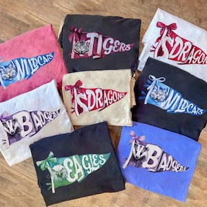 Custom Watercolor Pennants Flag Mascot Shirt, Personalized  Mascot shirt, School Spirit Shirt, Custom School Team, Matching Team Tee