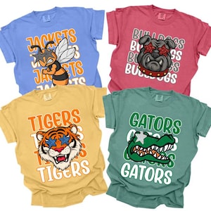 Custom Retro School Spirit Shirts, Personalized Team Mascot Shirt, Game Day Shirt, Favorite Team Shirt, Football Mom Shirt, Cheer Mascot Tee