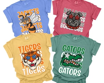 Custom Retro School Spirit Shirts, Personalized Team Mascot Shirt, Game Day Shirt, Favorite Team Shirt, Football Mom Shirt, Cheer Mascot Tee