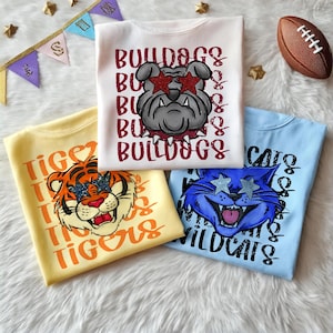 CUSTOM Retro School Mascot Shirt, Big Pride Shirt, School Pride School Spirit, Spirit Team, Custom Team Mascot Shirt, Baseball Spirit Shirt