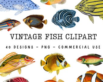May include: A collection of vintage fish clipart in various colors and patterns. The image includes a variety of fish illustrations, with the text "VINTAGE FISH CLIPART" and "40 DESIGNS - PNG - COMMERCIAL USE".