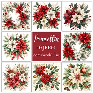 May include: Nine square images showcasing watercolour poinsettia arrangements in red and white, with green foliage and gold accents. Some images are wreaths, others are bouquets. The central image has the text "Poinsettia 40 JPEG commercial use."