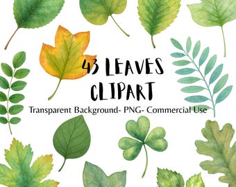 43 Leaves Clipart Bundle | Watercolor Greenery PNGs | Botanical Digital Download | Transparent Background | Commercial Use