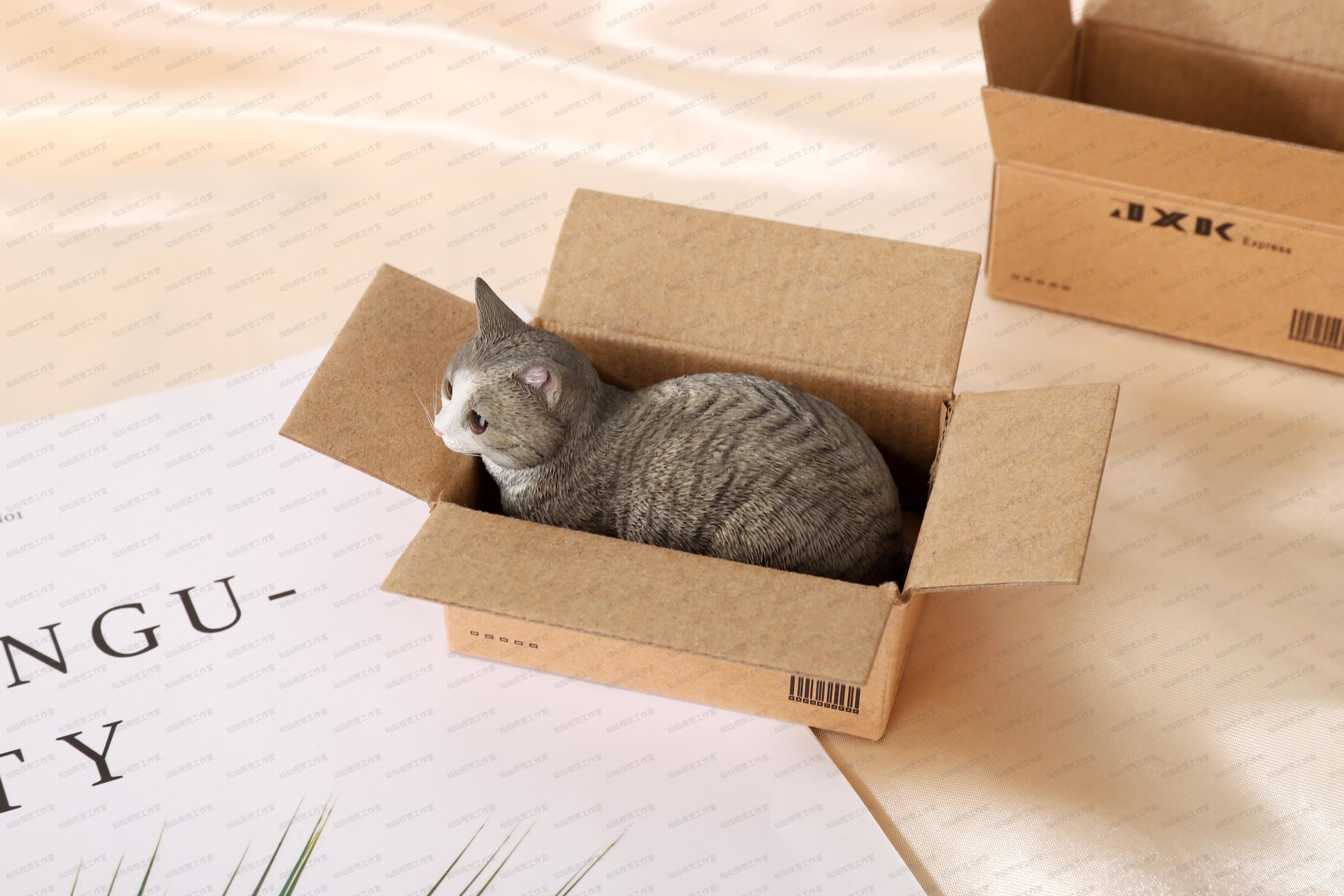 Cat in a Box Sculpture with Fine Faux Fur | Exquisite Handcrafted Resin Art | Detailed Cat Design | Best Gift for Cat Lover