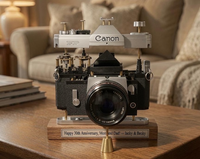 Disassembled Film Camera Art | Recycled Vintage Camera Decor