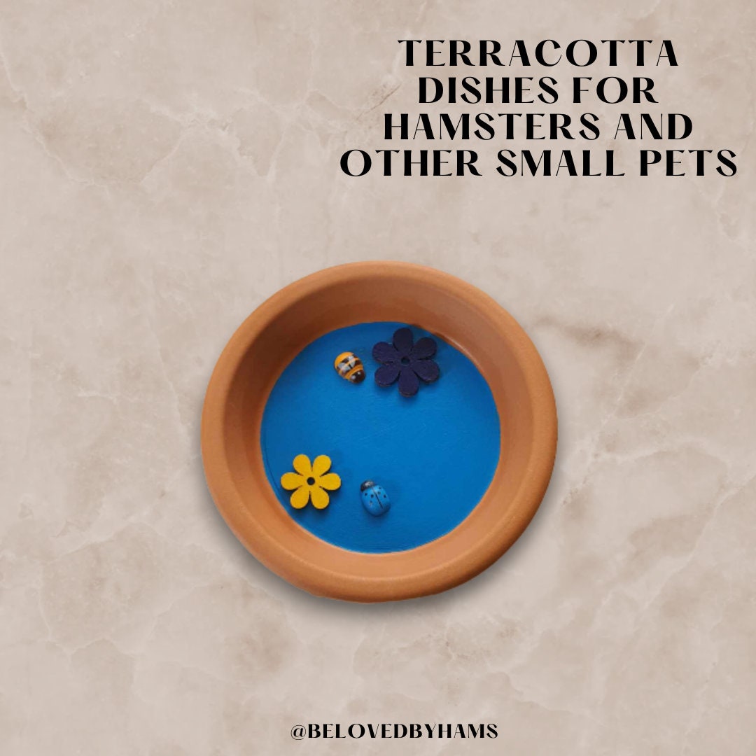 Terracotta Dishes for Hamsters and Other Small Pets - Etsy UK