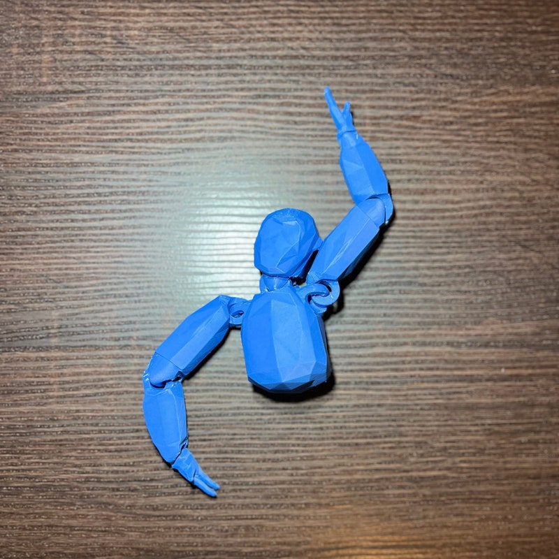 3d File Ragdoll 3d Printed Ragdolls - Etsy