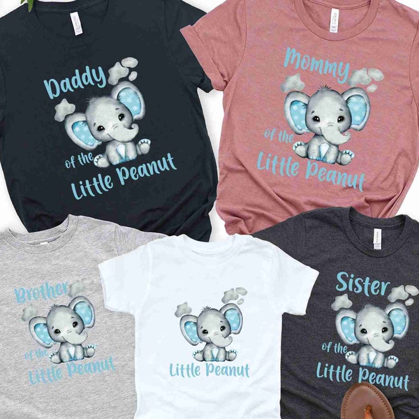 Little Peanut  Birthday Shirt, New Baby Shirt, Baby Family Shirts, Announcement Shirt, Baby Shower Shirt, First Birthday Shirt, New Mom Gift