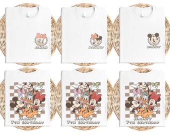 Retro Checkered Mickey and Friends Birthday Shirt, Personalized Disney Birthday T-Shirt, Mickey Mouse Family Shirt,Disney Themed Party Shirt