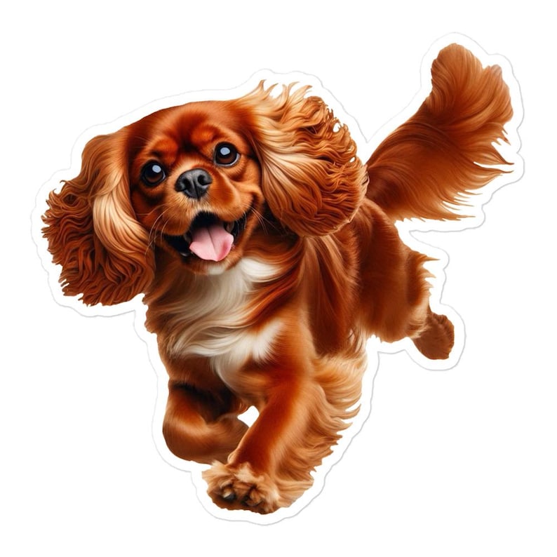 Ruby Cavalier King Charles Spaniel Sticker, Cute Dog Water Bottle sticker, Laptop sticker