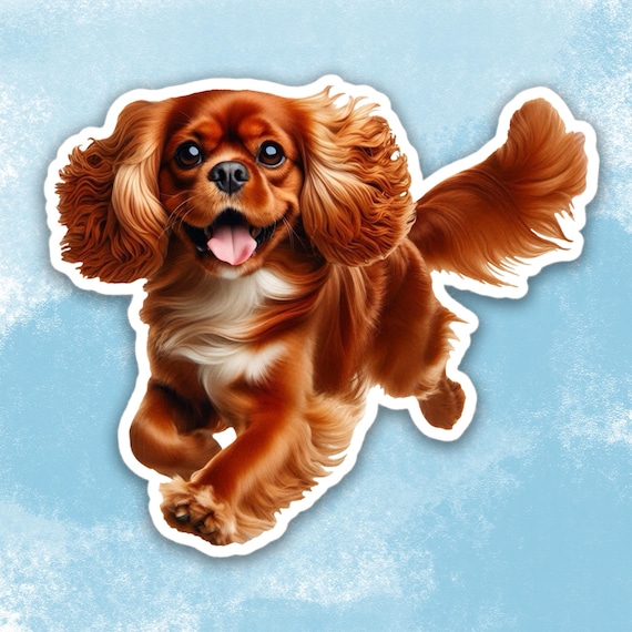 Ruby Cavalier King Charles Spaniel Sticker, Cute Dog Water Bottle sticker, Laptop sticker