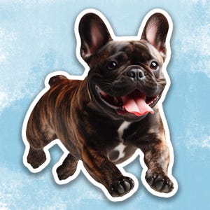 Adesivo Bulldog francese tigrato, adesivo per bottiglia d'acqua con simpatico cane Frenchie, adesivo per laptop