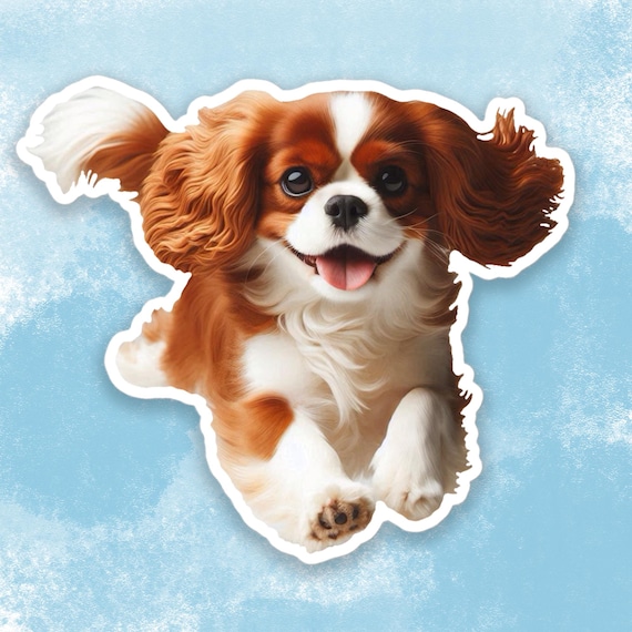 Cavalier King Charles Spaniel Sticker, Cute Dog Water Bottle sticker, Laptop sticker