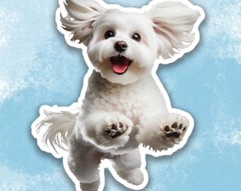 Cute Maltese Sticker, Cute Dog Water Bottle sticker, Laptop sticker