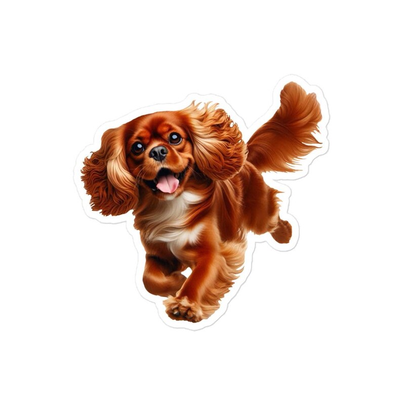 Ruby Cavalier King Charles Spaniel Sticker, Cute Dog Water Bottle sticker, Laptop sticker