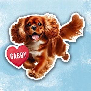 Personalized Ruby Cavalier King Charles Spaniel Sticker, Custom Cute Dog Water Bottle sticker, Laptop sticker