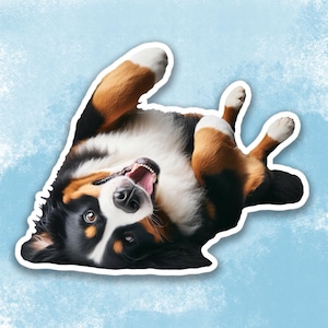 Leuke sticker Berner Sennenhond, sticker hond bidon, laptopsticker