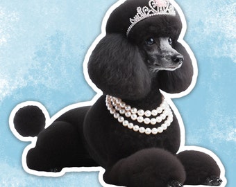 Black poodle Sticker, Standard Poodle Sticker, Dog Water Bottle sticker, Laptop sticker