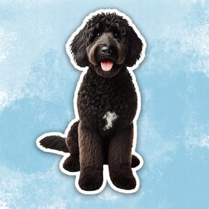 May include: A black curly-haired dog sitting with its tongue sticking out. The dog is looking directly at the camera.