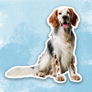 Naklejka English Setter, Naklejka na butelkę z wodą dla psa, Naklejka na laptopa