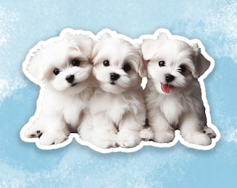 Maltese puppies Sticker, Cute Dog Water Bottle sticker, Laptop sticker