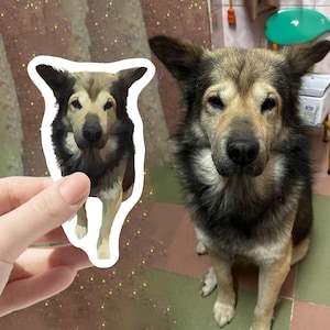 Personalized Dog Stickers, custom dog sticker, stickers of my pet, Custom Pet Stickers,Vinyl Stickers, Your Pictures as Stickers, Waterproof