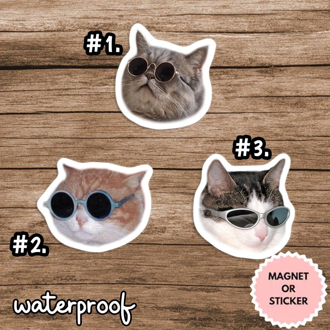 Funny Cat Meme Sticker Pack, Viral Internet Cats, Waterproof Vinyl ...